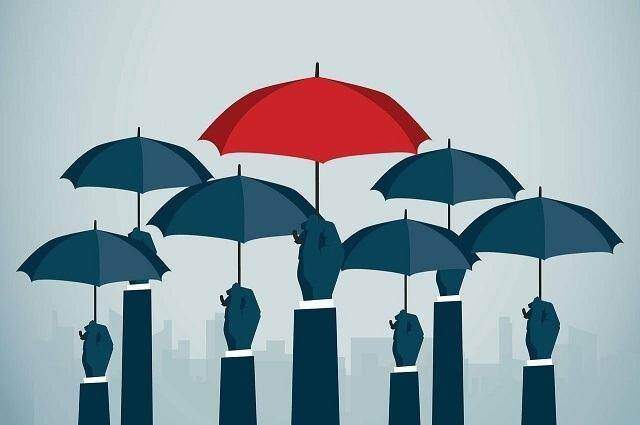 Vinare tăng 11% lãi ròng trong quý 2