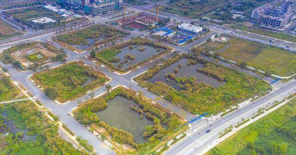 Doanh nghiệp nói gì khi ngưng thi hành các quy định "cấm cho vay"