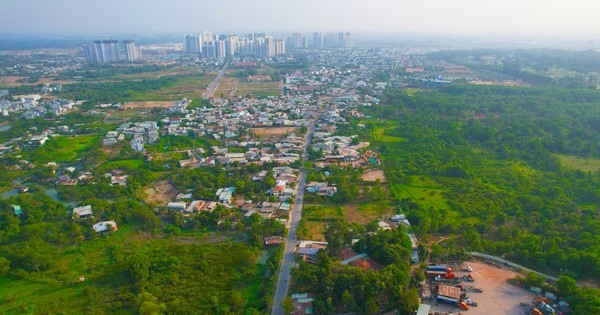 TP.HCM trình việc chuyển mục đích sử dụng đất lúa dưới 500ha để làm dự án