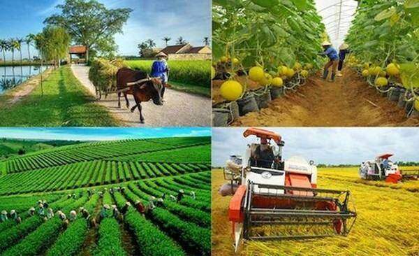 Bảo vệ môi trường gắn với phát triển du lịch nông nghiệp