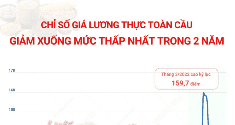 Chỉ số giá lương thực toàn cầu giảm xuống mức thấp nhất trong 2 năm
