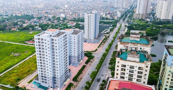 Handico và nhiều đơn vị quản lý nhà sẽ bị thanh tra - Ảnh 1.