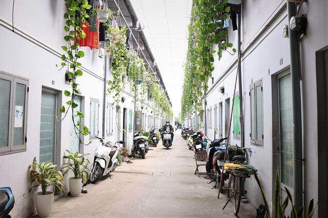 TPHCM có hơn 42 ngàn cơ sở nhà trọ, nhà ngăn phòng cho thuê