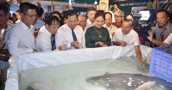 2 con cá nuôi ở lòng hồ Hòa Bình được bán đấu giá 115 triệu đồng