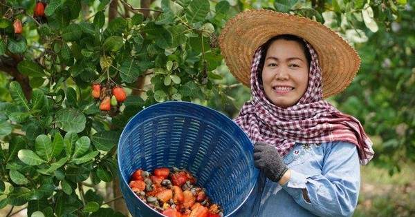 Lý do hàng Việt "độc bá" thị trường