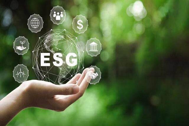 “Các nhà đầu tư cần động lực để bắt đầu chứ không phải lý do để bỏ qua các tiêu chí xanh”