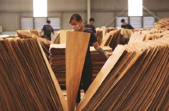 Gỗ Thuận An bị phạt và truy thu thuế hơn 134 triệu đồng