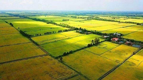 Văn bản hợp nhất thông tư quy định về quản lý đất đai