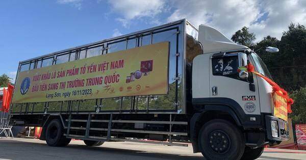 Việt Nam chính thức xuất khẩu tổ yến sang Trung Quốc