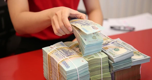 Chính phủ yêu cầu thanh tra việc điều hành tăng trưởng tín dụng của Ngân hàng Nhà nước