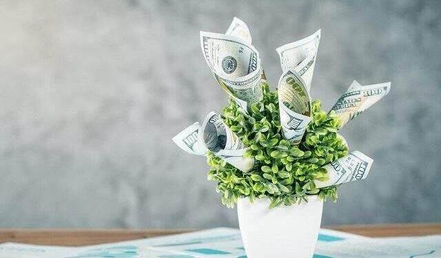 Cổ tức tuần đầu tiên của năm 2024: Cao nhất 20% 1 Cổ tức tuần đầu tiên của năm 2024: Cao nhất 20%