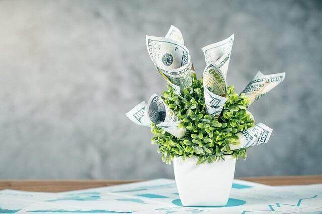 Cổ tức tuần đầu tiên của năm 2024: Cao nhất 20%