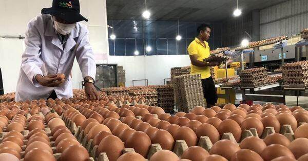 Độc đáo món trứng gà nướng liên tục 100 giờ khiến giới trẻ mê mẩn