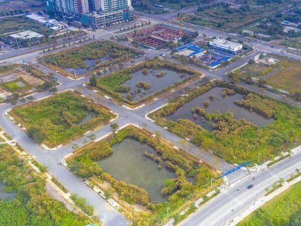 Khẩn trương đưa Luật Đất đai sửa đổi vào cuộc sống