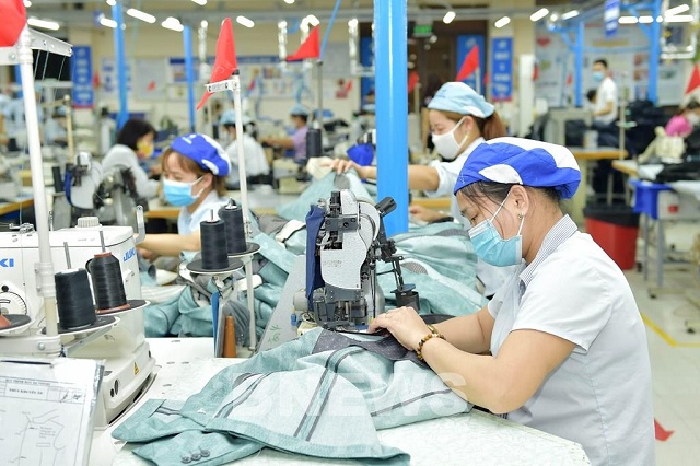 May 10 ước lãi trước thuế 123 tỷ trong năm 2023, vượt kế hoạch 12%