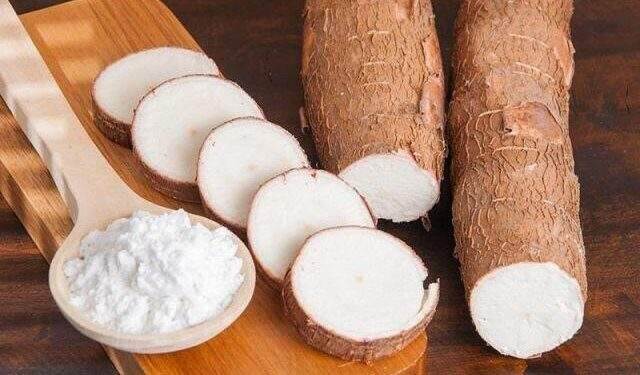 Một doanh nghiệp sản xuất tinh bột sắn chốt ngày tạm ứng cổ tức 20% bằng tiền Một doanh nghiệp sản xuất tinh bột sắn chốt ngày tạm ứng cổ tức 20% bằng tiền