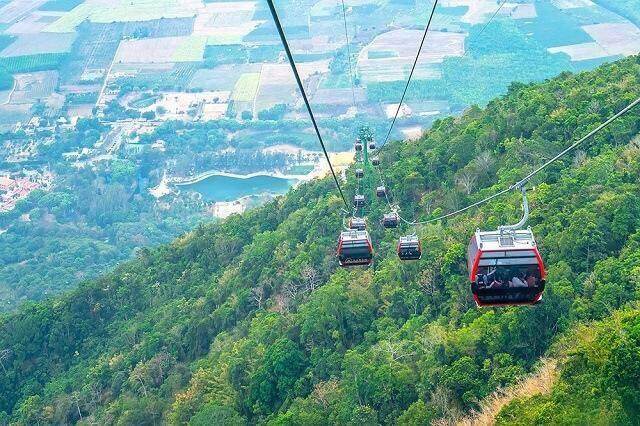 TCT vẫn trích thưởng cho nhân viên dù kết quả kinh doanh 2023 đi lùi gần 40%