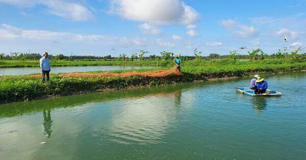 Tín dụng nông nghiệp góp phần phát triển kinh tế vùng Đồng bằng sông Cửu Long
