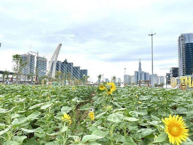3 câu chuyện nơi thành phố bên sông