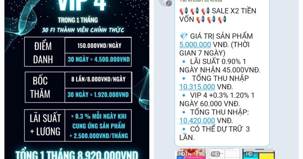 Cả ngàn người sập bẫy app đa cấp VN-Temu