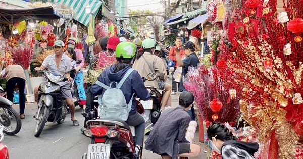 Chợ hoa Tết lớn nhất TP HCM bắt đầu nhộn nhịp