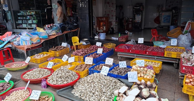 Người nội trợ thở phào vì giá củ kiệu tết vừa túi tiền