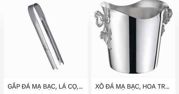 Nhà thiết kế Thái Công gây bão mạng khi bán xô đựng đá 70 triệu, bình hoa 235 triệu đồng