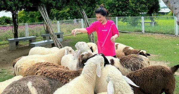 Độc đáo “Vườn Zoo” ở Khu tham quan Điện mặt trời An Hảo