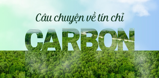 [Longform] Câu chuyện về tín chỉ carbon: Góc nhìn từ đơn vị trung hòa phát thải từ bản chất