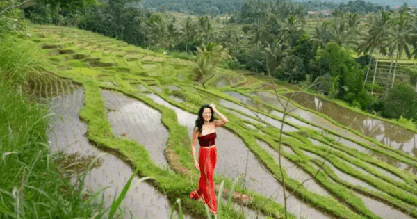 Bỏ công việc mơ ước ở tuổi 32, chi 800 triệu đồng tiền tiết kiệm nghỉ hưu để đi du lịch, sau hơn 1 năm người phụ nữ hối hận không kịp