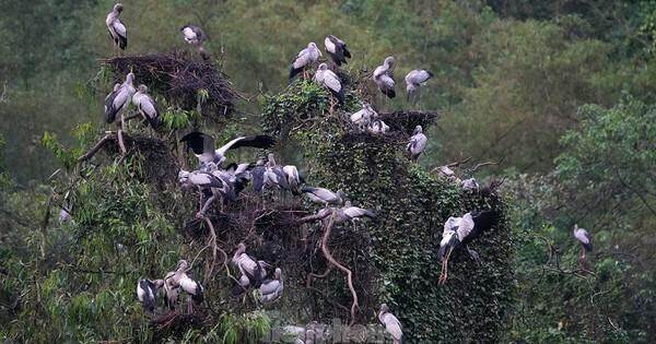 in điểm du lịch "mới toanh"
