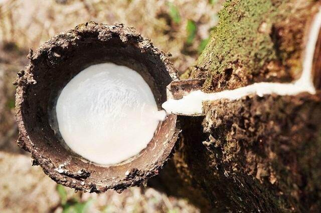 DRI sẽ chia thêm cổ tức 2023 bằng tiền, kế hoạch lãi sau thuế 2024 giảm 18%