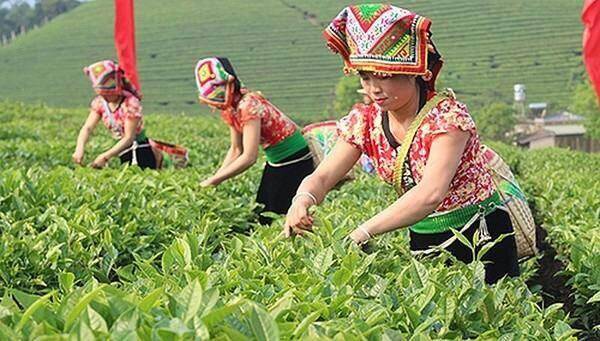 Đề xuất quy định về hỗ trợ đất đai đối với đồng bào dân tộc thiểu số