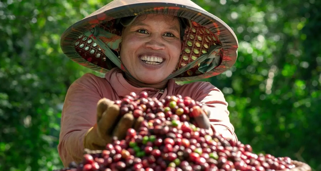 Giá cà phê trên đỉnh cao lịch sử, nông dân thu tiền tỷ, tậu ô tô