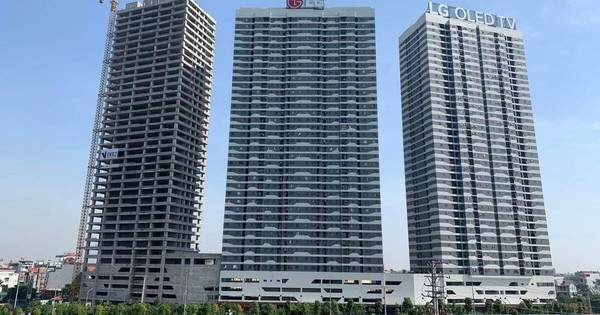 Lợi nhuận doanh nghiệp của Shark Việt lao dốc