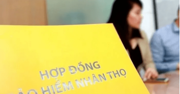 Một công ty bảo hiểm nhân thọ nắm giữ lượng lớn trái phiếu của Vietcombank, BIDV, VietinBank, Vingroup