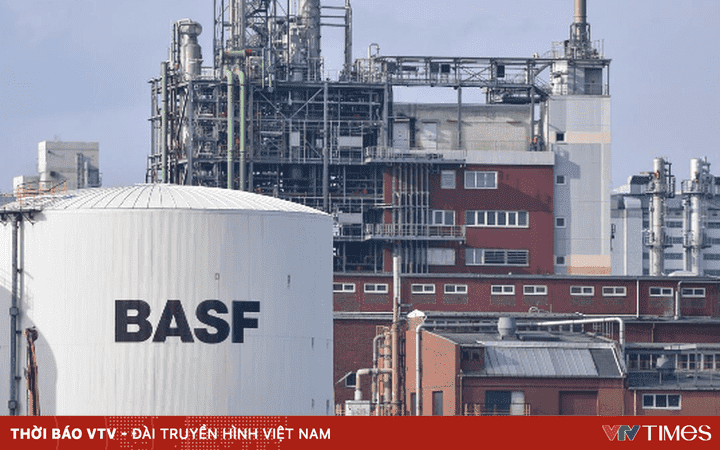 Công ty hóa chất BASF chia cổ tức 3,40 Euro cho năm 2023