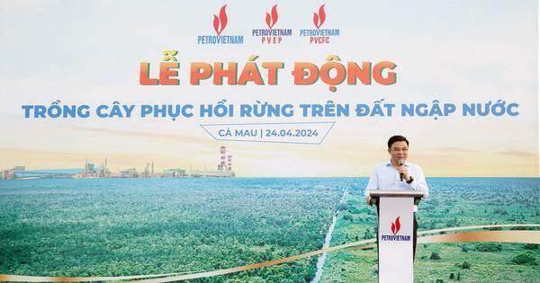 Petrovietnam phát động trồng cây phục hồi rừng trên đất ngập nước