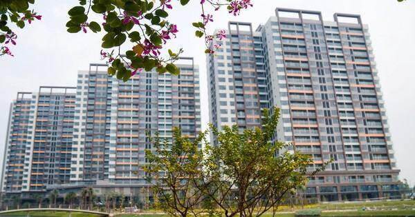 Tưởng rằng khách hàng không có tiền khi thị trường khó khăn nhưng chuyện “bất ngờ” đã xảy ra với phân khúc căn hộ trung cấp