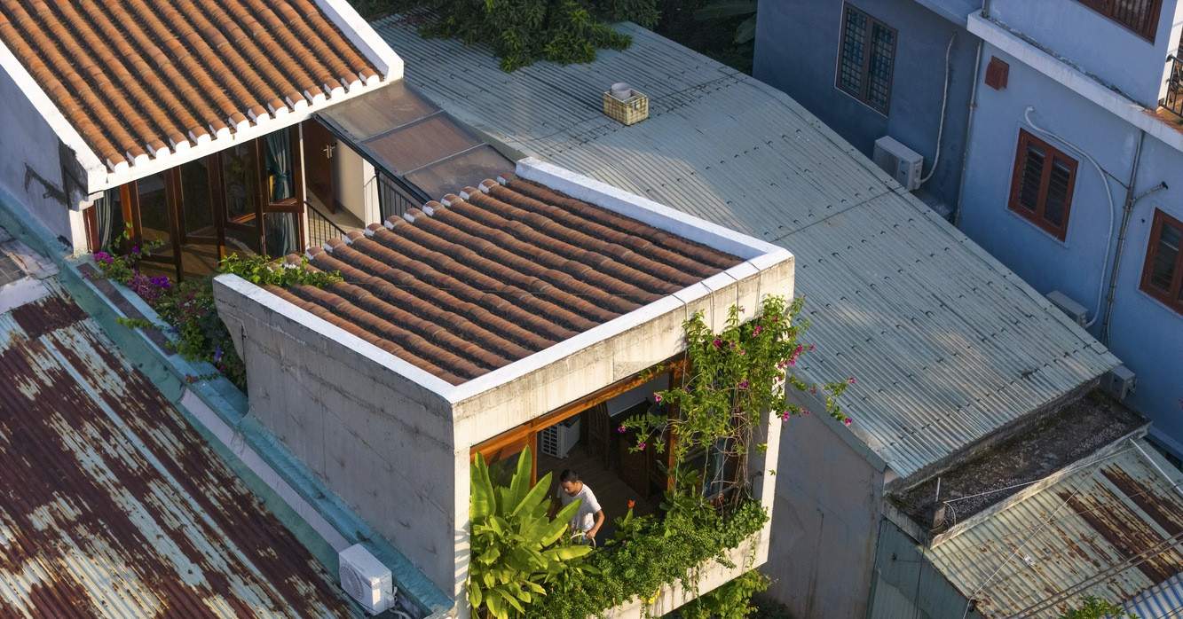 Khám phá ‘tổ chim’ tràn ngập cây xanh của vợ chồng nhà báo