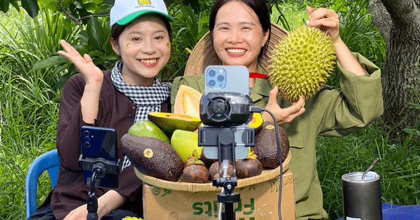 Livestream bán trái cây tại vườn hút gần 3 triệu lượt xem