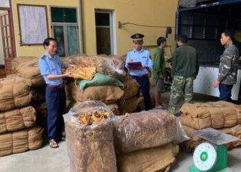 Tạm giữ 14,5 tấn nguyên liệu thuốc lá không rõ nguồn gốc xuất xứ