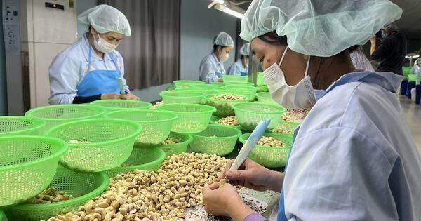 Thực hành ESG để gọi vốn