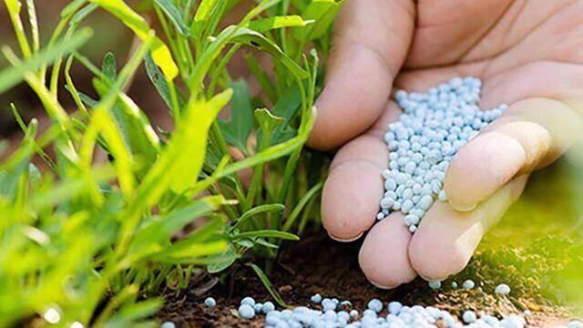 "Thiệt đơn, thiệt kép" vì không chịu thuế VAT, kiến nghị đưa phân bón vào diện chịu thuế 5%