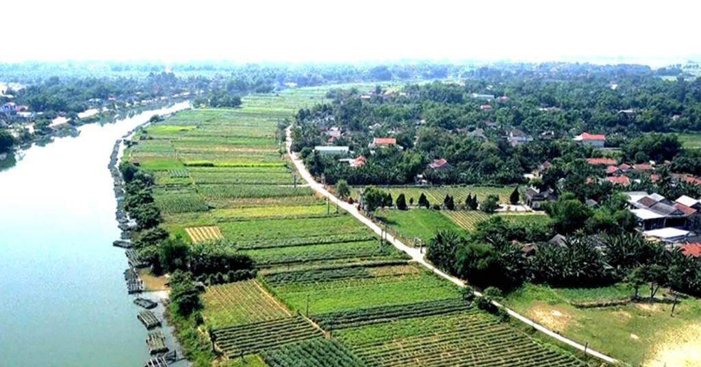 Thừa Thiên Huế sắp đấu giá 173 lô đất, khởi điểm từ hơn 374 triệu đồng