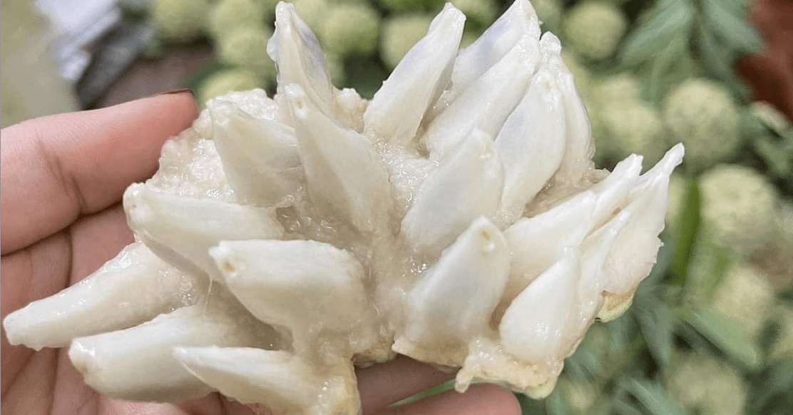 Đắt hơn sầu riêng, loại quả ‘mở mắt’ đưa về phố bán 250 nghìn/kg