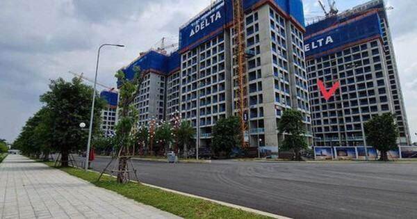 Giá chung cư lại tăng?