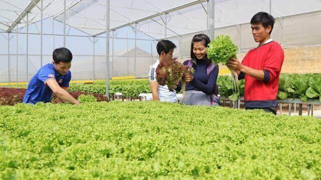 Khơi thông hành lang pháp lý cho phát triển nông nghiệp công nghệ cao