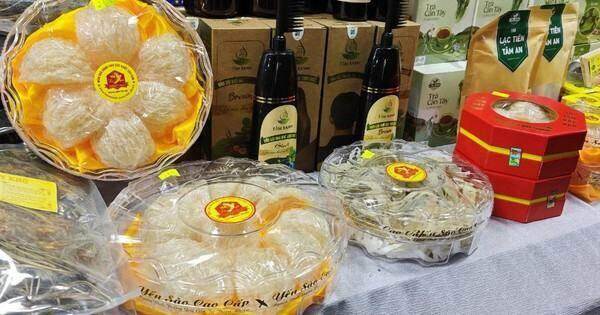 Ngành yến sào còn xa giấc mơ “tỉ USD”