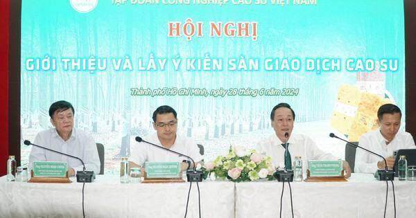 Sắp có sàn giao dịch cao su